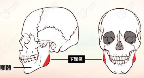 重慶何才偉和安可忍誰<span style=